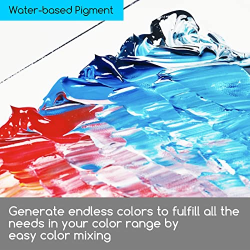 MEEDEN Professional Acrylic Paint Set, Artist Grade Acrylic Paint Tubes, Heavy Body Acrylic Paints for Adults, Art Supplies for Canvas Painting, 2 MEEDEN