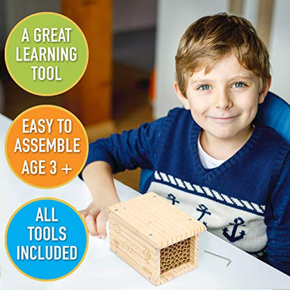 Rivajam Build a Bee House DIY Woodworking Project | Solitary Mason Bee House Nesting Box Wood Building Kit & Tools | Garden Arts & Crafts Activities - WoodArtSupply