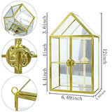 Wall Glass Cabinet Display for Perfume, Small Glass Display Curio Cabinets with Doors Wall Mounted, 2 Tiered Small Gold Curio Cabinet with Mirror Smilkat