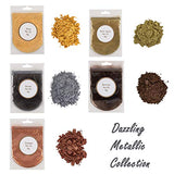 Metallic Epoxy Resin Color Pigment 10 Colors Gold, Silver, Blue and Red Resin Dye Collections Metallic Mica Powders for Lip Gloss with Mixing L5 color