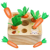 Wooden Toys for 1 2 3 Year Old Baby Boys and Girls, Montessori Toy Carrot Harvest Game Shape & Sorting Matching Puzzle, Educational Developmental Skrtuan