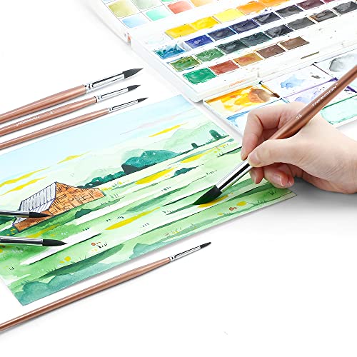 Transon 8pcs Round Watercolor Paint Brush Set Goat Hair for Watercolors,Acrylics,Inks,Gouache,Oil and Tempera TRANSON