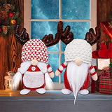 Gnome Beards for Crafting, 12 Pieces Pre-Cut Christmas Gnome Beards and Gnome Noses for Crafts Christmas Valentine's Day Independence Day Handmade EUBUY