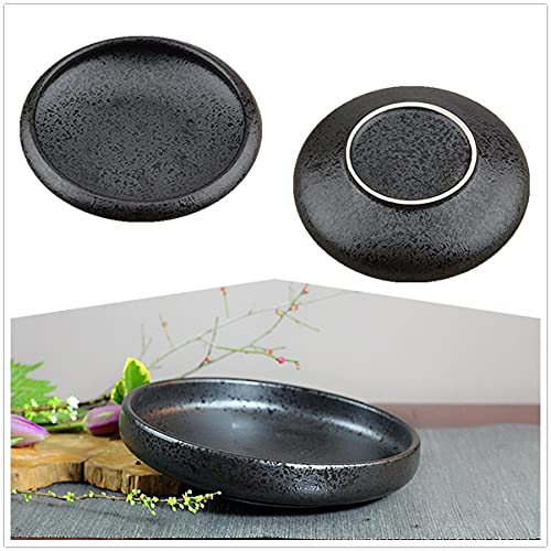 Japanese Ikebana Vase Kit, Flower Shallow Container Ceramics Ikebana Vase with 1.57inch Flower Frog and Floral Frog Floristry Kenzan Needle Eggone