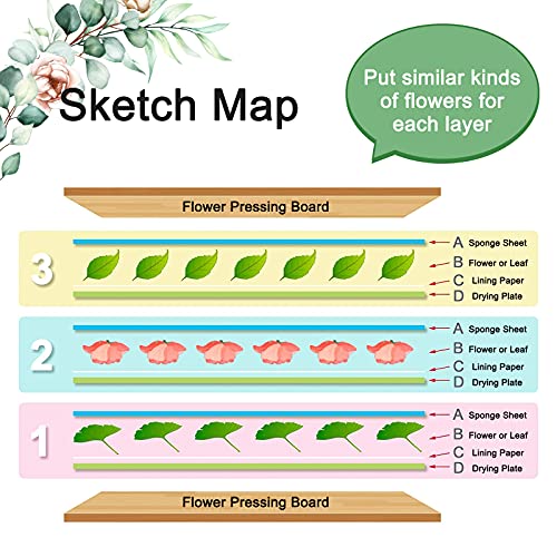 WANDIC Flower Press Kit with Instructions, A5 Tree Pattern Professional Wooden Art Kit Plant Press Book Leaves Press Kit for DIY Art Handicrafts, WANDIC