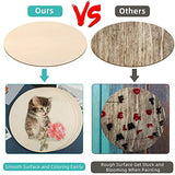 24 Inch Round Wood Circles Unfinished Round Wood Cutouts for Crafts, Door Hanger Painting and Wood Burning (2 Pieces) Jetec