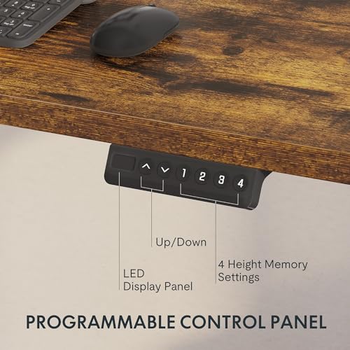 FLEXISPOT Stand Up Desk 3 Stages Dual Motor Electric Standing Desk 55x28 Inch Whole-Piece Board Height Adjustable Desk Electric Sit Stand Desk(Black FLEXISPOT