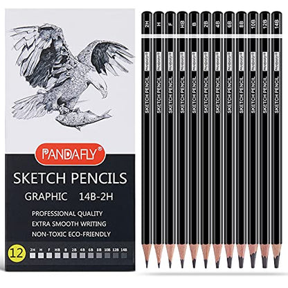 PANDAFLY Professional Drawing Sketching Pencil Set - 12 Pieces Graphite Pencils(14B - 2H), Ideal for Drawing Art, Sketching, Shading, Artist Pencils - WoodArtSupply