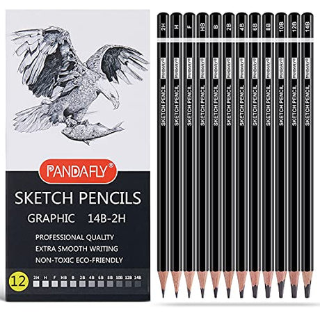 PANDAFLY Professional Drawing Sketching Pencil Set - 12 Pieces Graphite Pencils(14B - 2H), Ideal for Drawing Art, Sketching, Shading, Artist Pencils PANDAFLY