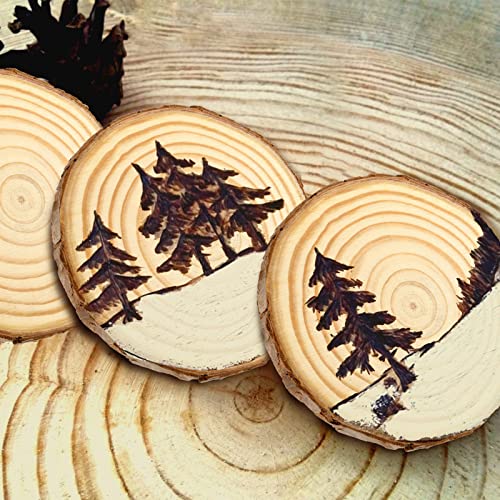 JEUIHAU 12 PCS 5.1-5.5 Inches Natural Unfinished Wood Slices, Round Wooden Tree Bark Discs, Wooden Circles for DIY Crafts, Christmas, Rustic Wedding - WoodArtSupply