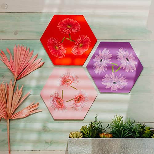 Unfinished Wooden Hexagon Blanks 12-inch, Pack of 2 Hexagon Cutouts for Craft Wood Shapes and Honeycomb Decoration, by Woodpeckers Woodpeckers