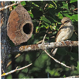 SUPVOX Straw Bird Nest Bird House Unfinished Birdhouses Bird Bed Gardening Birds Nest Large Bird Feeders Handmade Birds Woven Bird Hut Plant SUPVOX