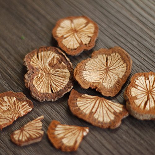 LUOEM Forest DIY Craft Ornaments for Photography Background Wood Branches Photo Props LUOEM