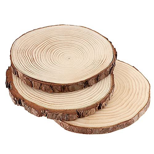 JOIKIT 5 PCS 8-9 Inch Unfinished Woods Slices, Natural Round Rustic Wood Slices for Centerpieces, Wooden Circles for DIY Craft, Christmas, Rustic JOIKIT