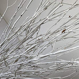 Decorative Birch Branches Decoration, 23 Inch Birch Stems for Wedding Decor,Dried Twigs for Christmas Decor (White) DongArts