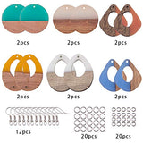 SUNNYCLUE 1 Bag 64Pcs 6 Colors Resin Wood Dangle Drop Earring Making Starter Kit Lightweight Round Drop Resin Wooden Pendant Charms Jewelry Making SUNNYCLUE