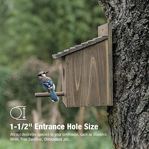 Bird House for Outside with Predator Guard, Nesting Box Birdhouse for Outdoor Wild Bird Watching, Royal Blue - WoodArtSupply