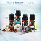 Hearth & Harbor Soy Candle Making Kit for Adults & Kids, DIY Candle Making Supplies for Beginners, Natural Soy Wax Complete Candle Making Kits - 2 Hearth & Harbor