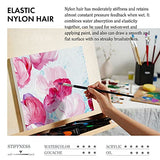 ARTIFY 41 Pieces Long Handle Paint Brushes, Expert Series, Hog Bristle, Horse Hair and Nylon Hairs Art Set Includes a Carrying Canvas Roll, for ARTIFY art supplies