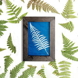 30 Pcs Cyanotype Paper Sun Print Paper Kit High Sensitivity Nature Drawing Printing Sunprint Sun/Solar Activated A5 Paper for Flower Press DIY Arts mwellewm