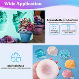 Silicone Mold Making Kit - Translucent Silicone Rubber Non-Toxic Liquid Mold Making Silicone - Mixing Ratio 1:1 - Ideal for Resin Molds, Silicone LET'S RESIN