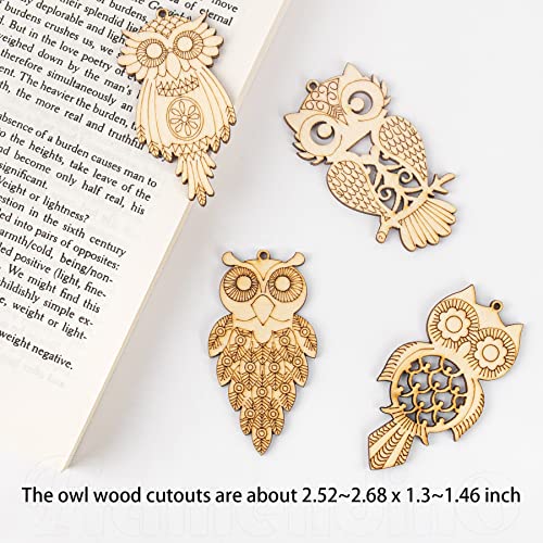 Framendino, 25 Pack Unfinished Wood Cutouts Owl Shape Wooden Slices Bird Hanging Wooden Cutout Wood Chips Embellishments for DIY Craft Home Framendino