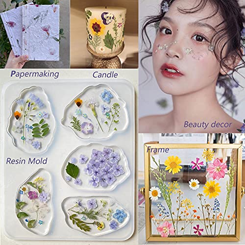 12 Types 48PCS Real Dried Pressed Flowers for Resin, Leaf Plant Herbarium for Jewelry Making Craft (Black and White) AHTONG