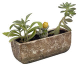 Classic Home and Garden 240001P-432 Dakota Trough, Earth Moss, Large Classic Home and Garden