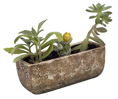 Classic Home and Garden 240001P-432 Dakota Trough, Earth Moss, Large - WoodArtSupply