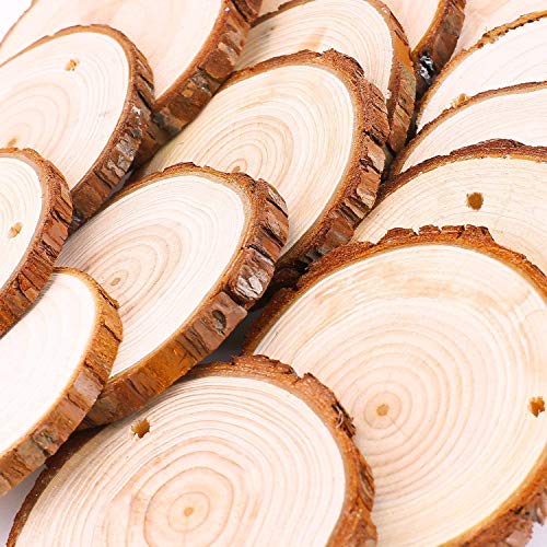 Unfinished Natural Wood Slices 20 Pcs 3.5-4 Inch Wood Coaster Sets Pieces Craft Wood kit Predrilled with Hole Wooden Circles Great for Arts and William Craft