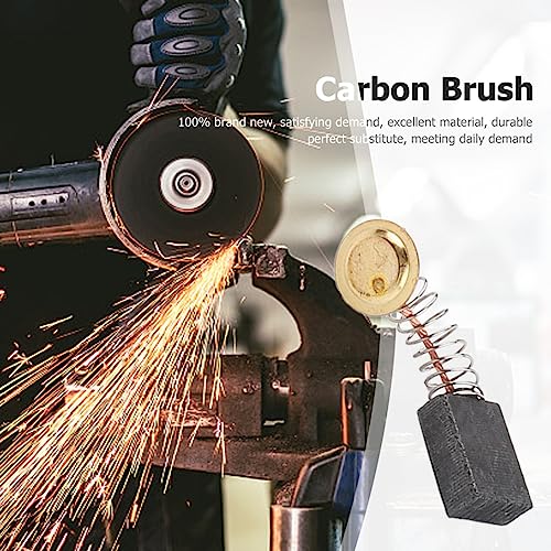 RICHERI 40Pcs Electric Motor Carbon Brushes 10 Different Sizes for Replacement Repair Power Tool Part RICHERI