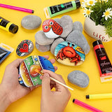 12 Pcs Extra Large Rocks for Painting, 4-5 Inch River Rocks Painting Stones Smooth Flat Rocks with 12PCS Paint Brushes for Painting, Natural Rocks to WhistenFla
