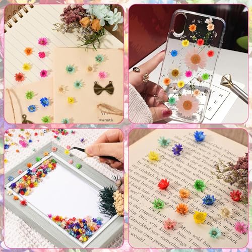 600 PCS Dried Flowers for Resin Crafts, Small Dried Flowers for Nails, Real Natural Tiny Dried Pressed Flowers for Jewelry Earrings Epoxy Molds, LGFMGWH