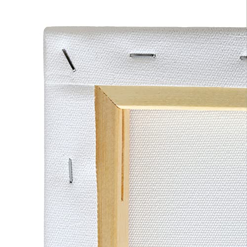 Liquitex Recycled Canvas, Traditional, 8" x 10", White Liquitex