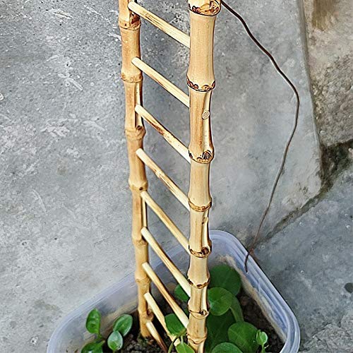 MOCOHANA® 2 Pack Plant Support Stakes Bamboo Garden Trellis Ladder Plant Support Stick Flower Stake for Climbing Plant, Cucumber, Tomato, Trellis,