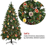 Natural Wood Slices TICIOSH Craft Unfinished Wood kit Predrilled with Hole Wooden Circles for DIY Crafts Wedding Decorations Christmas Ornaments Arts TICIOSH