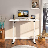 FLEXISPOT White Standing Desk 48 x 24 Inches Height Adjustable Desk, Whole-Piece Desktop Electric Sit Stand Up Desk Home Office Desk (White Desktop + FLEXISPOT