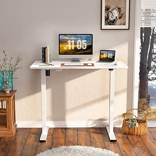 FLEXISPOT White Standing Desk 48 x 24 Inches Height Adjustable Desk, Whole-Piece Desktop Electric Sit Stand Up Desk Home Office Desk (White Desktop + - WoodArtSupply