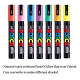 Uni Japan Paint Marker FULL RANGE Bundle Set Marking Pen Medium Point PC-5M 29 Colours ( 22 Standard & 7 Natural ) Japanese Domestic Market Product Uni Mitsubishi