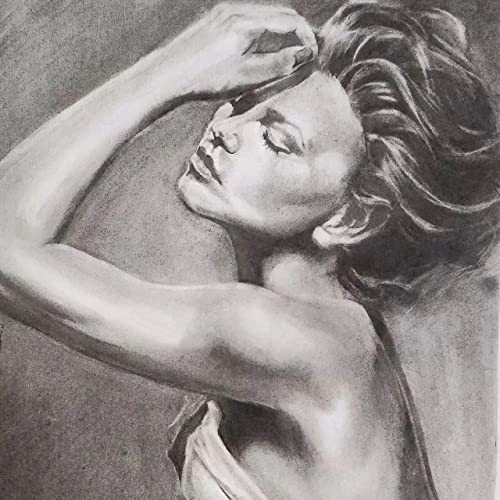 Dyvicl Compressed Graphite Charcoal Sticks, Square Black White Charcoal for Sketching, Drawing, Shading, Blending, Pack of 18 Dyvicl