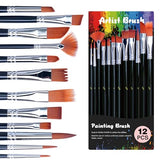 Metallic Acrylic Paint Set with 12 Brushes, Metallic Acrylic Paint Sets with 20 Colors (60ml, 2oz), Acrylic Paint Set for Artists, Beginners on TMOL