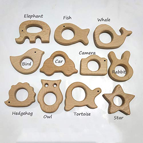 Nature Baby Teething Toys 11pc Wooden Teether Montessori Toys Wood Teether Rings Organic Infant Teether Handmade Pendant Set Shower Gift (Type 1) Alenybeby