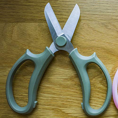 Leize Garden Flower Scissors, Premium Thickened Stainless Steel Floral Shears, Strong Pruner for Flowers, Branches and Leaves - WoodArtSupply