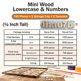 740 Pieces Half Inch Mini Blank Wood Lowercase Letters Unfinished Wooden Numbers with Stained Tray for Scrapbooking DIY Project Cregugua