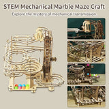 Hallisun 3D Wooden Puzzle for Adults, Marble Run Set, Wooden Mechanical Model Kit, DIY Roller Coaster Handicraft Wood Craft Kit, Birthday Gift for Hallisun