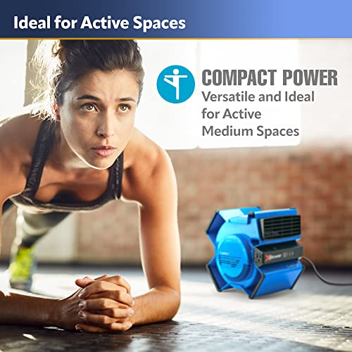 Lasko X-Blower 6 Position High Velocity Pivoting Utility Blower Fan for Cooling, Ventilating, Exhausting and Drying, 3 Speeds, AC Outlet, Circuit Lasko