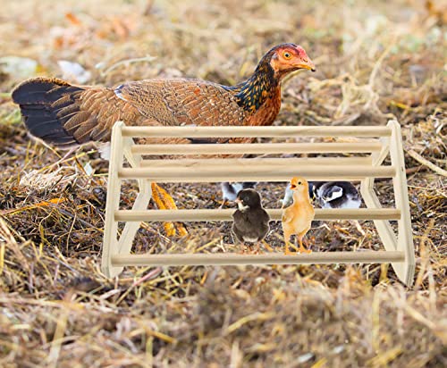 CooShou 3 Pack Chick Perch Chick Toys Chick Wooden Roosting Bar Chick Jungle Gym Perch Stand for Chicken Brooder, Coop Baby Chicks