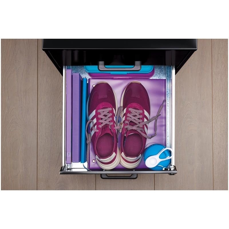 Scranton & Co Metal 2 Drawer Letter File Cabinet in Black Scranton & Co