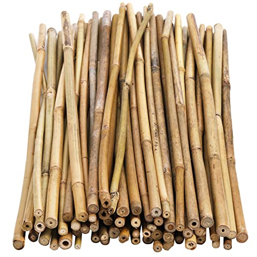 Frcctre 60 Pack 16 Inch Bamboo Plant Stakes, Natural Garden Sticks for Plant Indoor and Outdoor Gardening Plant Support Climbing Stakes for Tomatoes, - WoodArtSupply