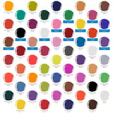 U.S. Art Supply 12 Color Set of Primary Opaque Colors Acrylic Airbrush, Leather & Shoe Paint Set with Reducer & Cleaner 1 oz. Bottles US Art Supply